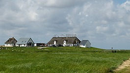 漢堡包 hallig,北海,瓦登海