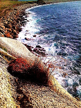 海,側(cè),岸
