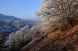 霜,性質(zhì),景觀