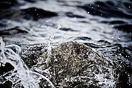清除,滴水滴,液體