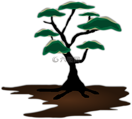 樹,異國情調(diào),景觀