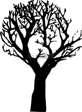 森林,下降,森林復生