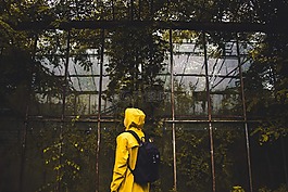成人,背包,顏色