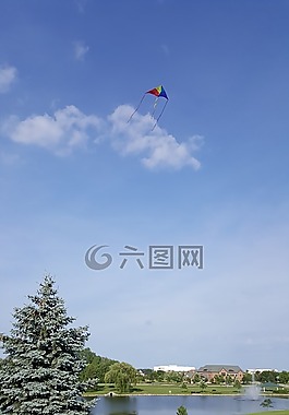 夏季,湖,性質(zhì)