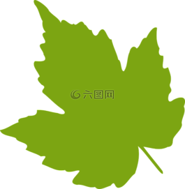 楓,葉,葉子