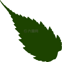 葉,葉子,綠化