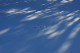 冬天,雪,陰影
