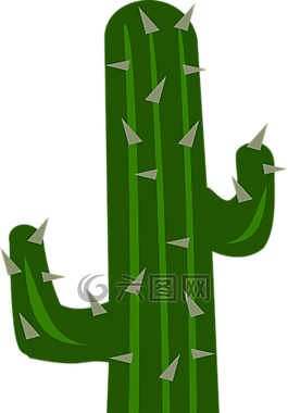 仙人掌,花园,园艺