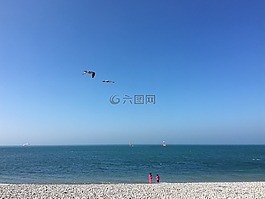 海,海洋,女孩