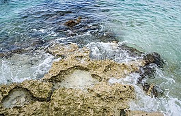 珊瑚礁,墨西哥,水