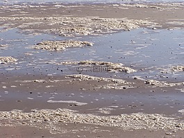 海灘,低潮,沙