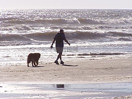 沖浪,海洋,海灘