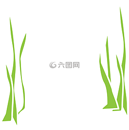 海藻,旱廁,植物區(qū)系