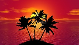 熱帶,日落,夏天