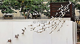 金屬,飛行,鳥