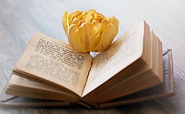 本書,老書,老