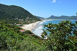 海灘,mar,巴西