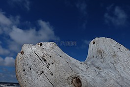 木材,海,海灘