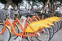 自行車,交通,循環(huán)