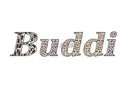 瓶,名稱,buddi