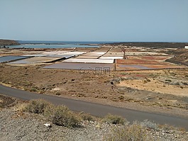 兰萨罗特岛,萨利纳斯,janubio