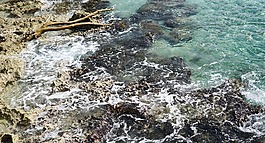 墨西哥,加勒比海,岩