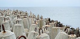 波羅的海,波,混凝土