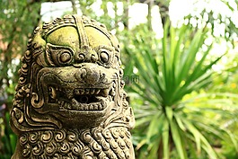 獅子,雕像,動物園