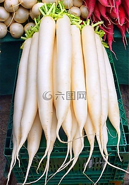 蘿卜,根,蔬菜