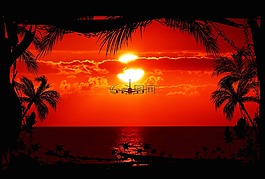 太陽,日落,abendstimmung