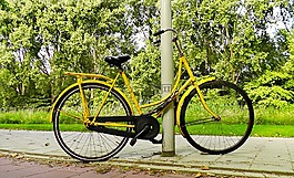 自行車,釀酒,黃色自行車