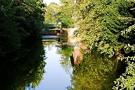 過獨(dú)身生活,夕陽,水