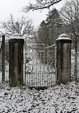 冬天,雪,輸入