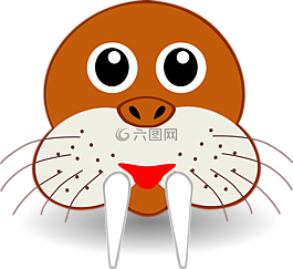 象海豹,seecatch,密封