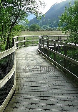 木橋,波浪,木板