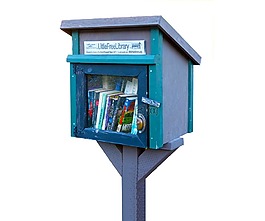 小圖書館,庫,書籍