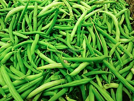 蔬菜,小雞體重,綠色