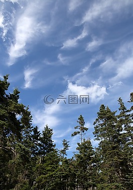 云,景觀,自然
