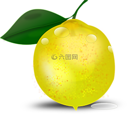 柑橘,檸檬,柑橘果實