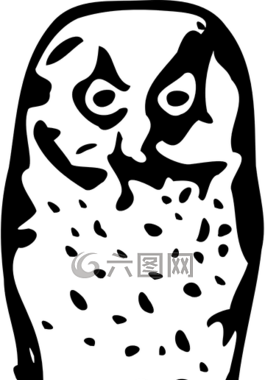 貓頭鷹,鳥(niǎo),動(dòng)物