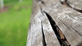 木材,公園,特寫