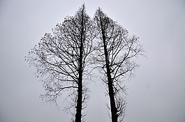 黑,發(fā)射,簡(jiǎn)單