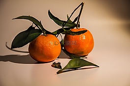 橘子,熱帶水果,水果