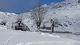 雪,冬天,冷
