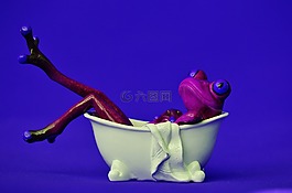 青蛙,浴,游泳