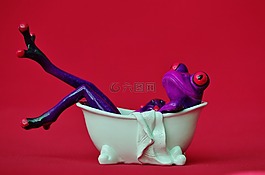 青蛙,浴,游泳