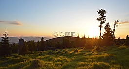 貓頭鷹,旅行,山