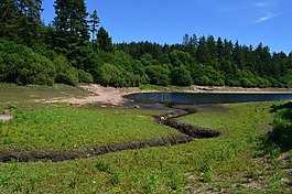 trenchford,水庫(kù),水