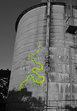 涂鴉,藤,黑色和白色