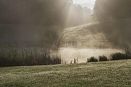 霧,公園,太陽(yáng)